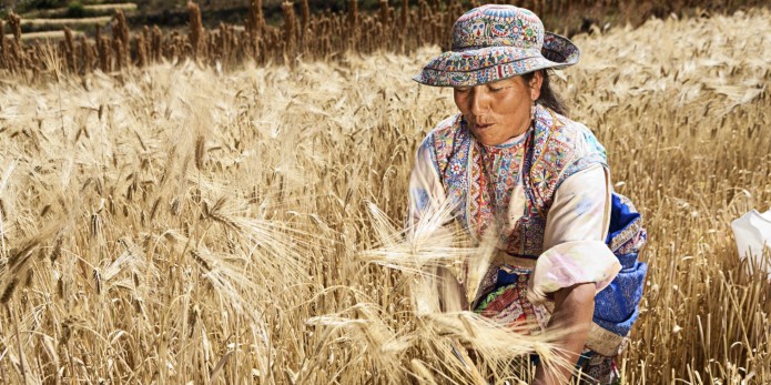 o-WOMEN-FARMING-PERU-facebook.jpg